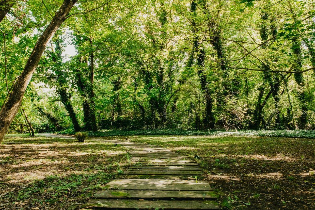 Palić Forest House מראה חיצוני תמונה