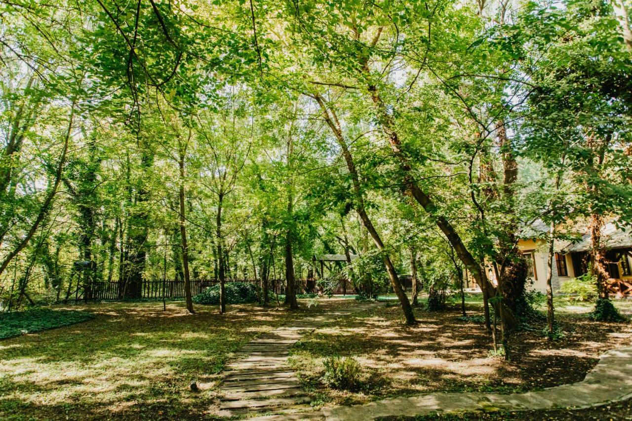 Palić Forest House מראה חיצוני תמונה