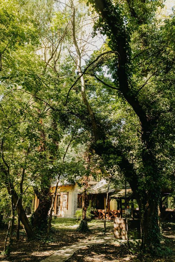 Palić Forest House מראה חיצוני תמונה
