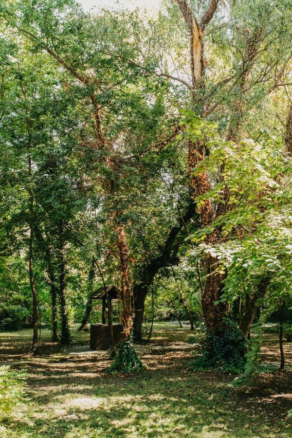 Palić Forest House מראה חיצוני תמונה