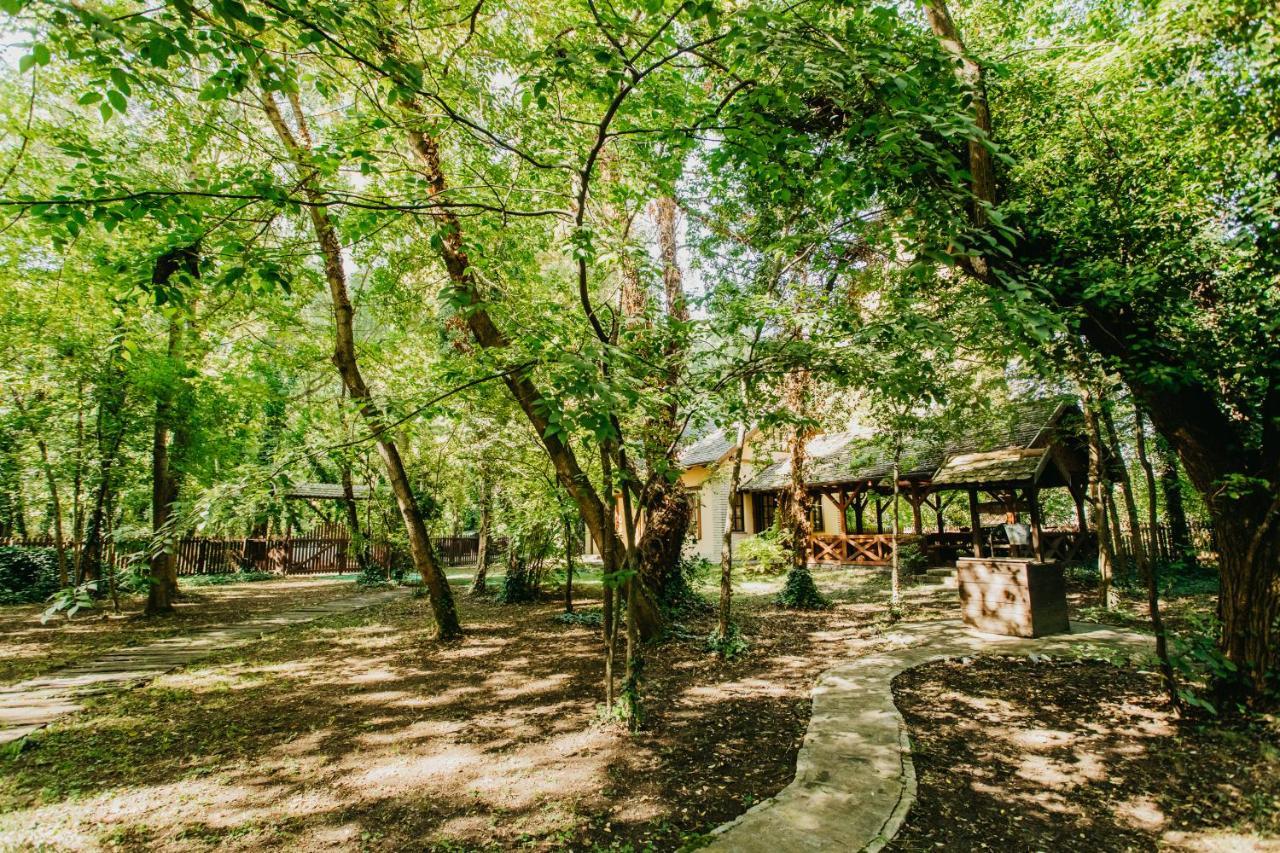 Palić Forest House מראה חיצוני תמונה